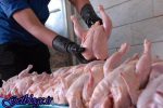 فاصله ۴۴۲۰تومانی قیمت مرغ با قیمت مصوب ، مرغ ۱۲هزار و ۶۰۰ تومان شد